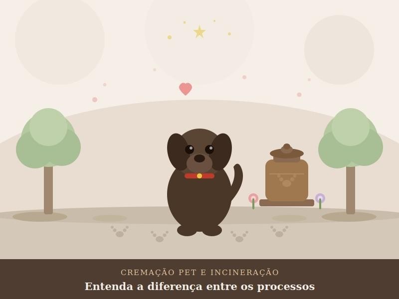 Diferença entre Cremação Pet e Incineração: Entenda os Processos