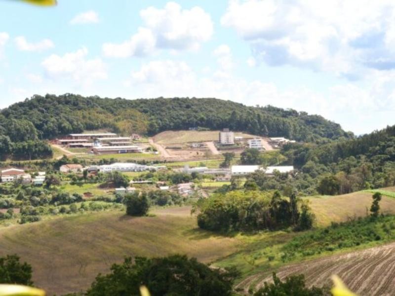 Cordilheira Alta