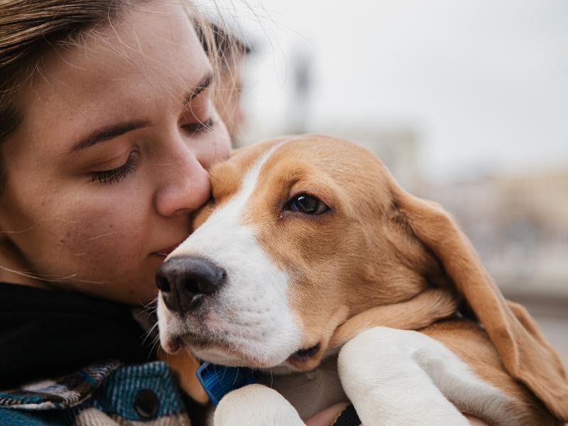 Cremação de Cachorro em Maravilha