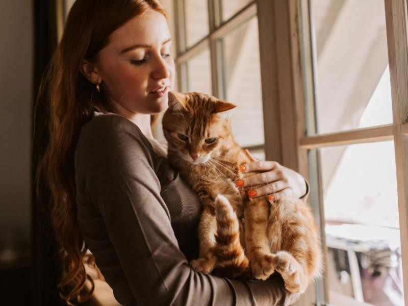 Cremação de Gato em Xaxim