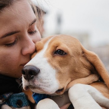 Cremação de Cachorro em Maravilha