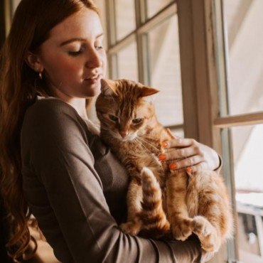 Cremação de Gato em Maravilha
